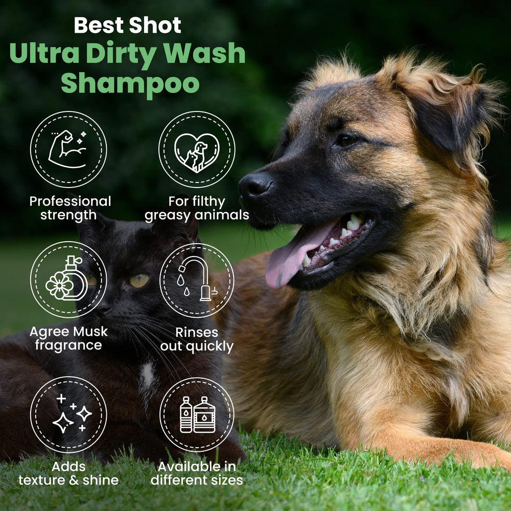 Best Shot chien en bain utilisant Ultra Dirty Wash pour pelage propre et moins de brossage