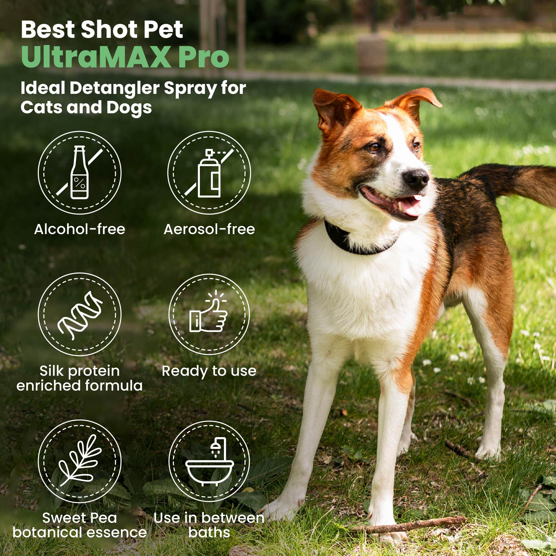 Best Shot texture claire du spray montrant hydratation visible