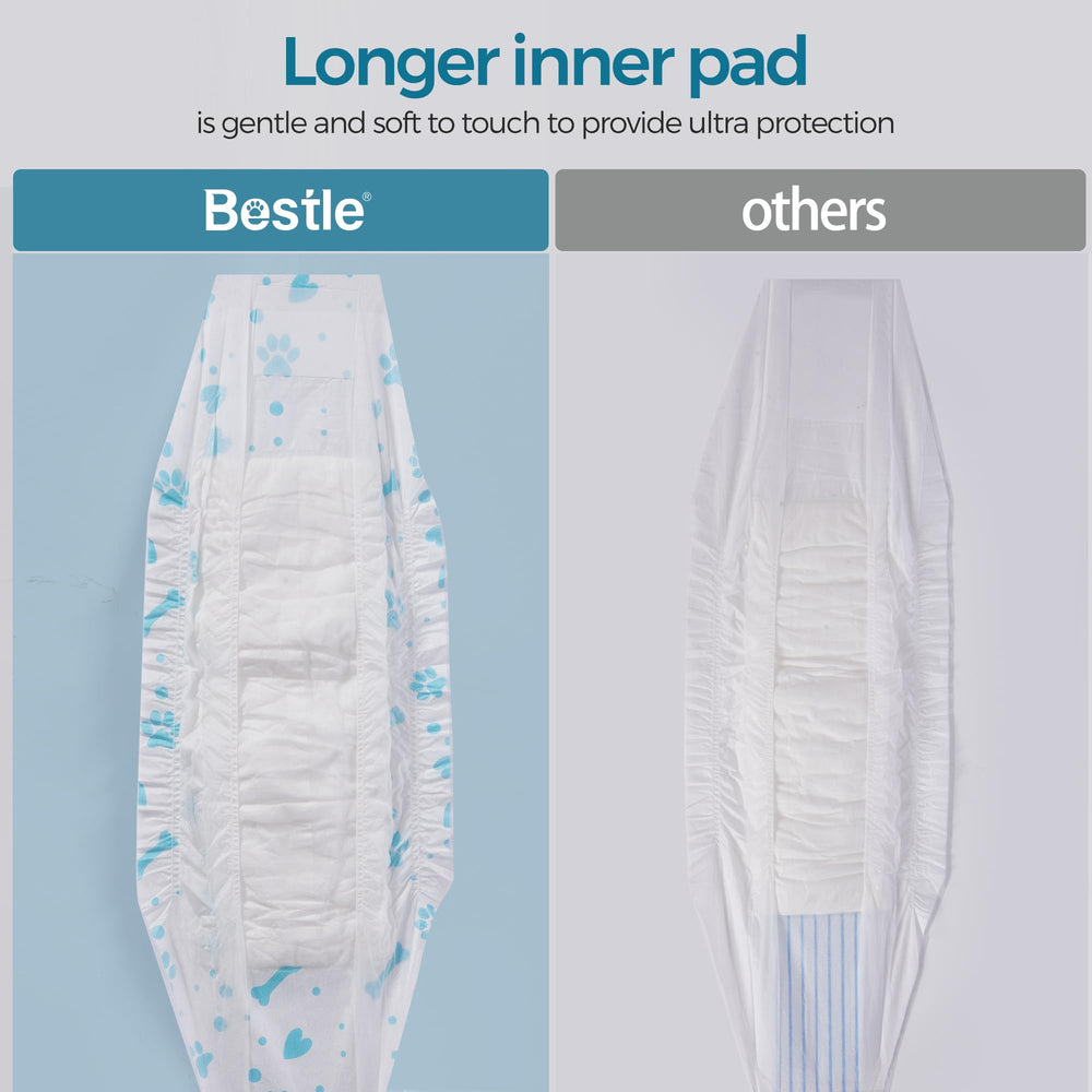 Bestle comparaison de taille sur petit chien pour guide ajustement