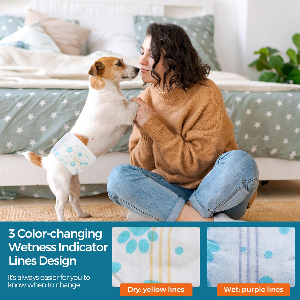 BESTLE couche portée par un petit chien, évite les fuites