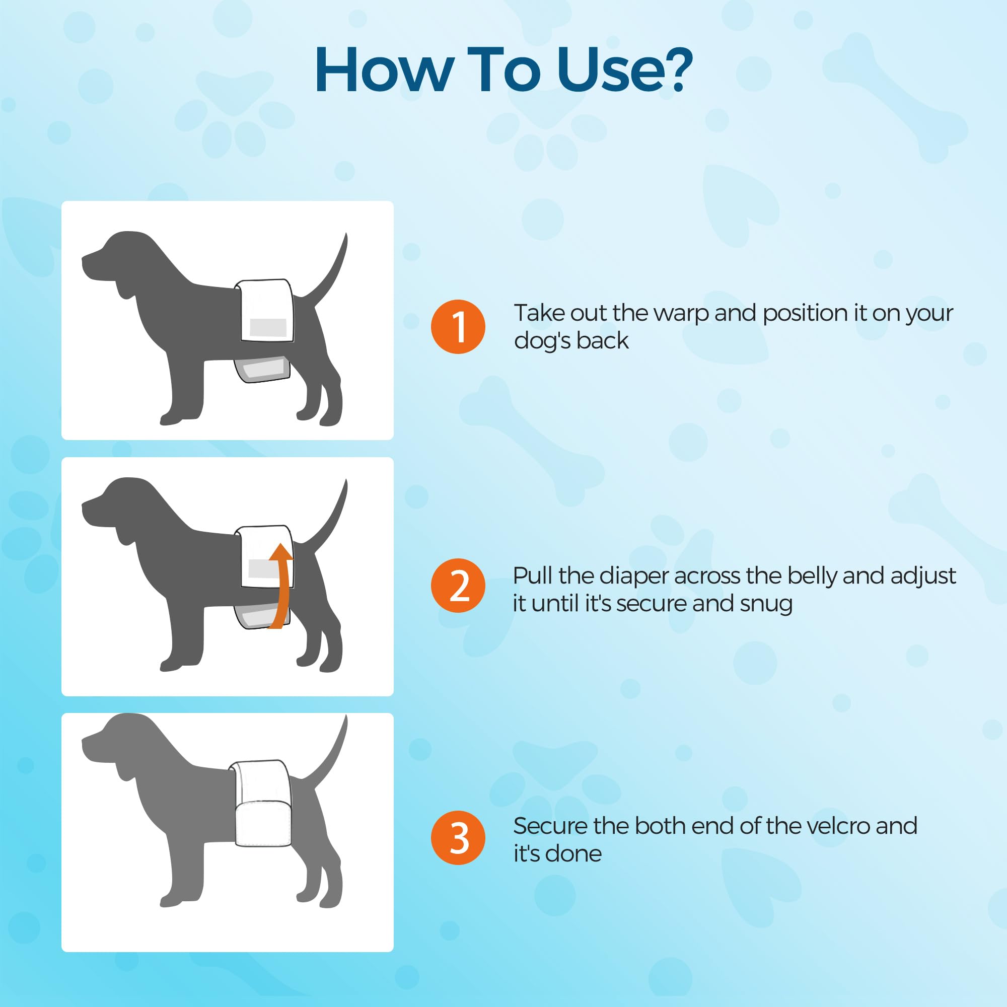 BESTLE enfilage sur chien, montre facilité d'utilisation