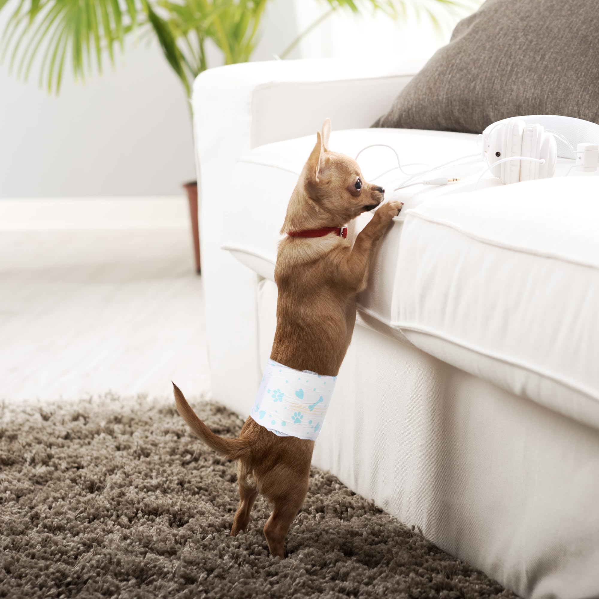 BESTLE pile de couches prêtes à l'emploi, solution pratique à long terme