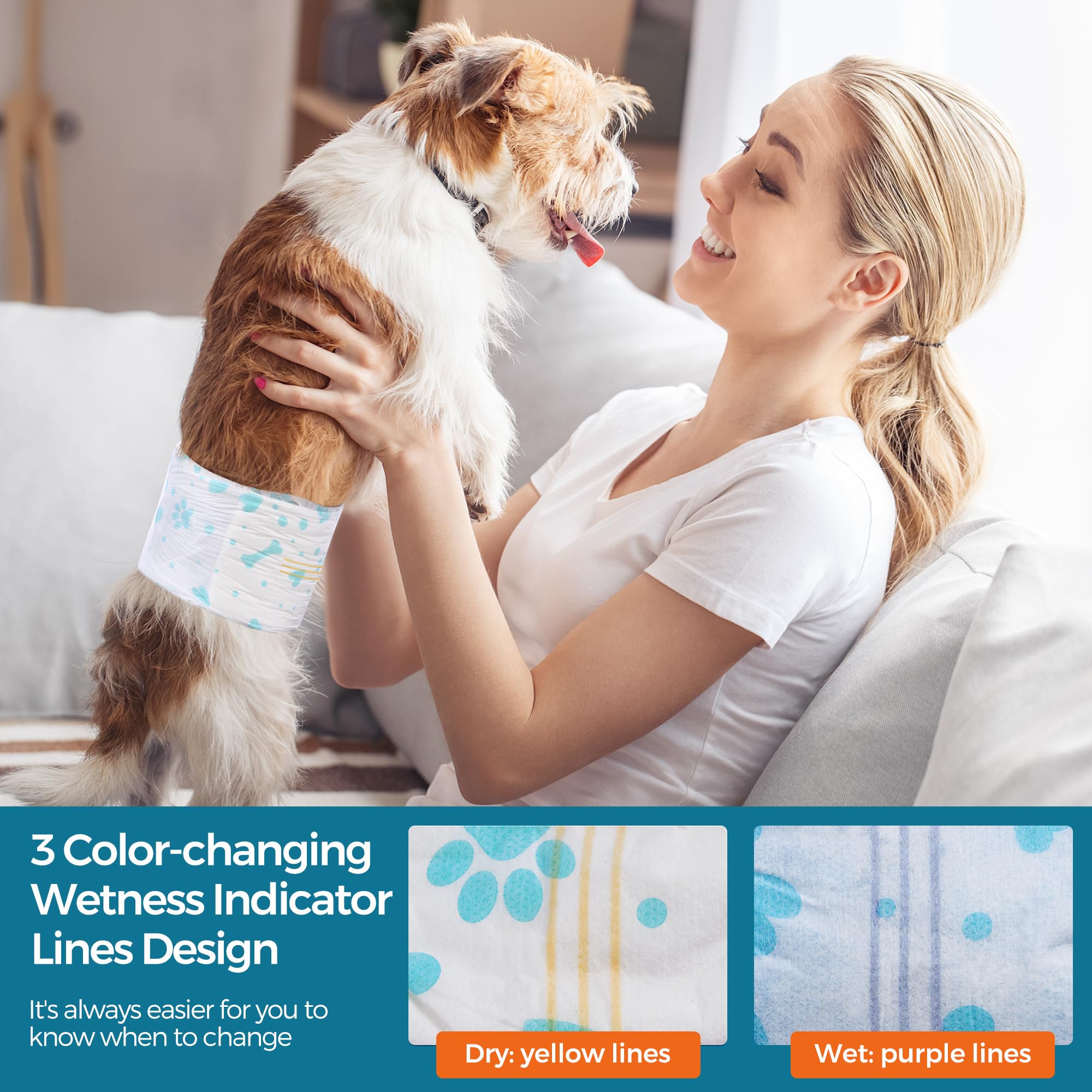 Bestle en balade sur chien pour propreté et confiance extérieure