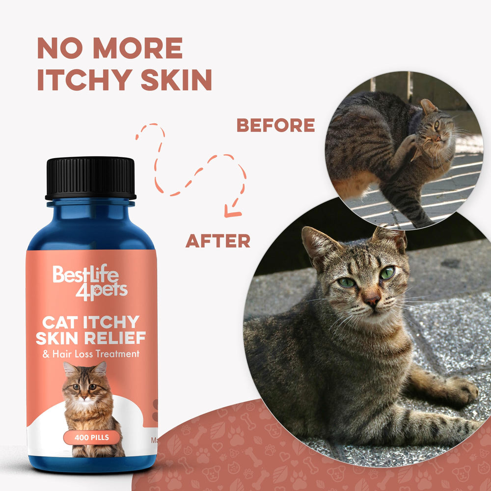 BestLife4Pets bocal contenant 400 comprimés pour usage prolongé