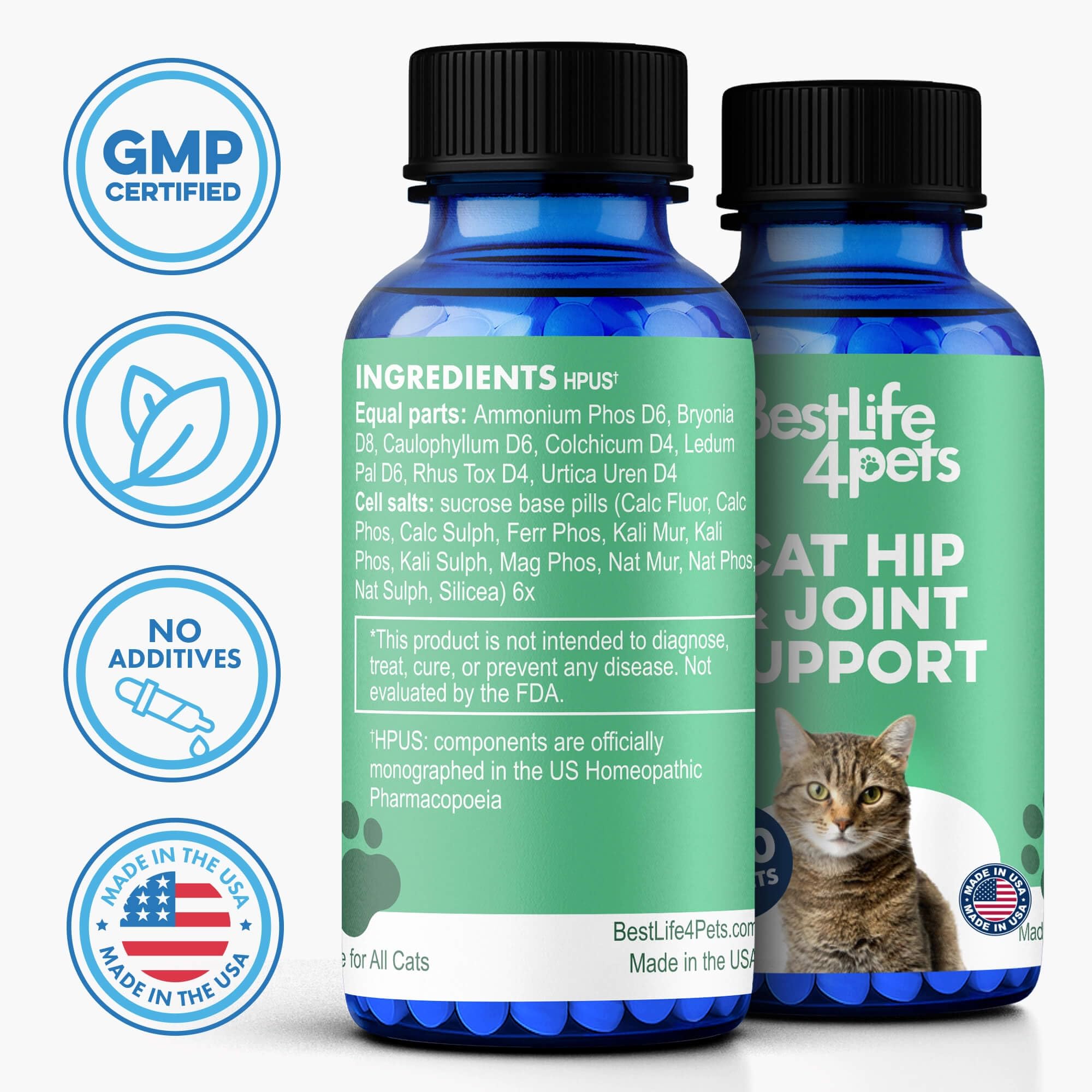 BestLife4Pets bocal près d'une règle pour comparaison d'échelle et gestion des portions