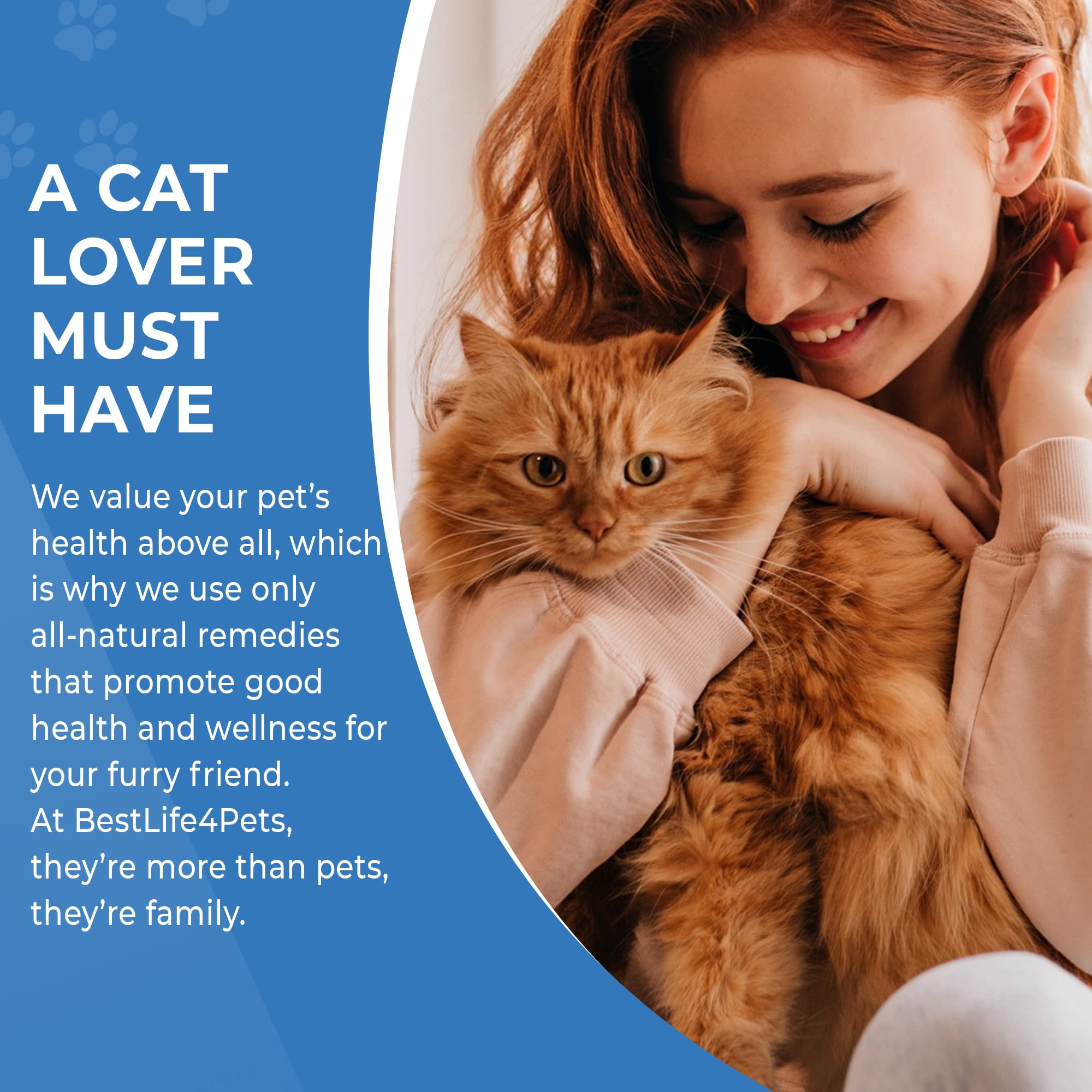 BestLife4Pets image d'un chat jouant soulignant amélioration possible de mobilité et activité