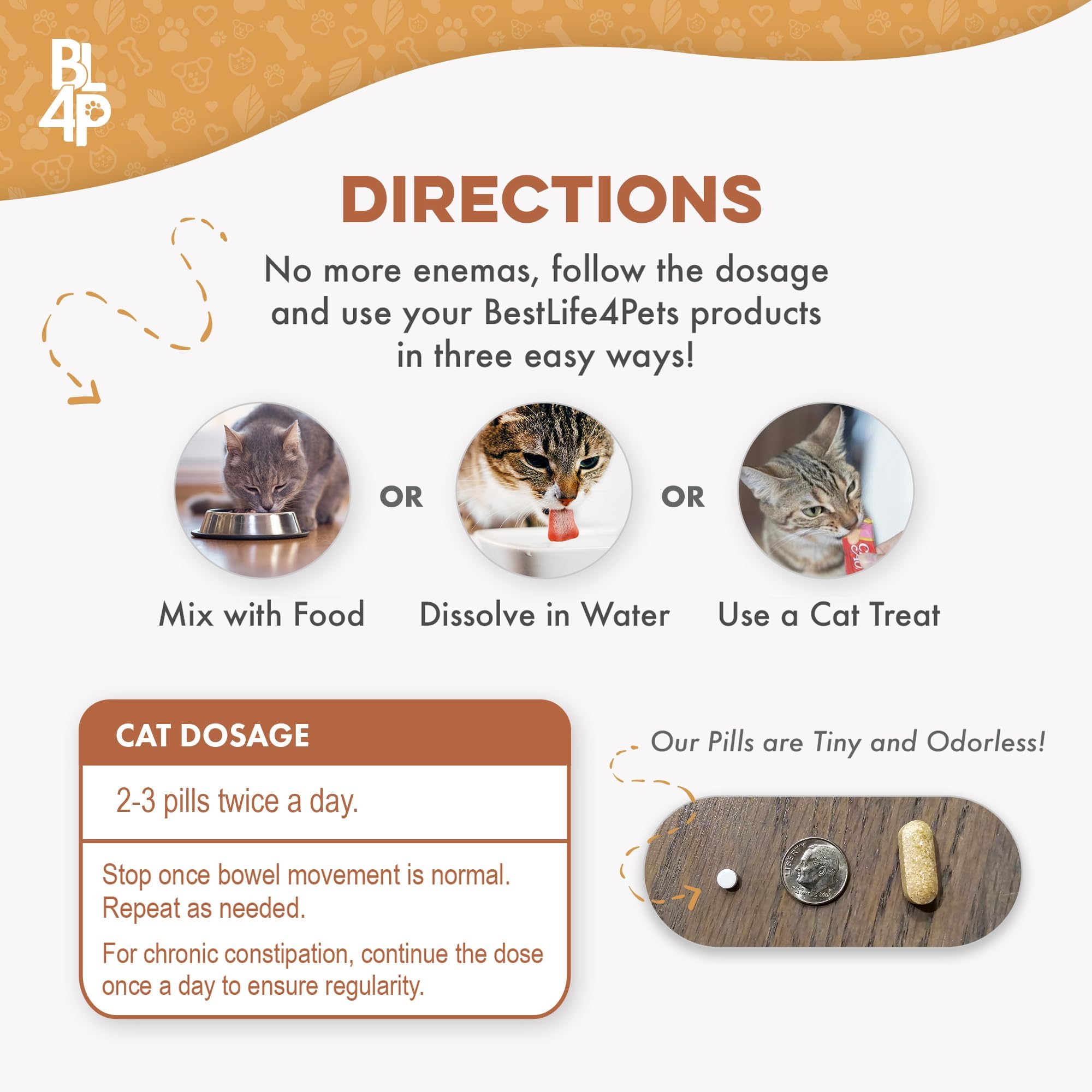 bestlife4pets chat acceptant la pilule avec une friandise améliorant coopération