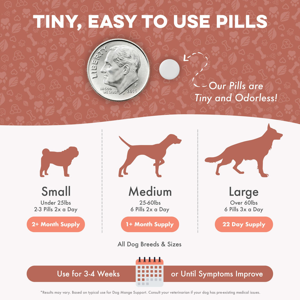 BestLife4Pets chien au pelage retrouvé montrant amélioration visuelle