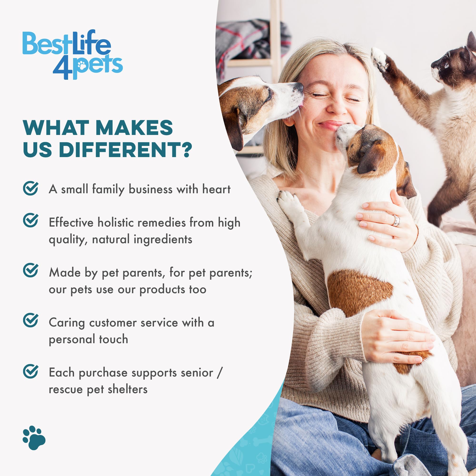 BestLife4Pets chien heureux environnement lifestyle montrant bien-être buccal quotidien