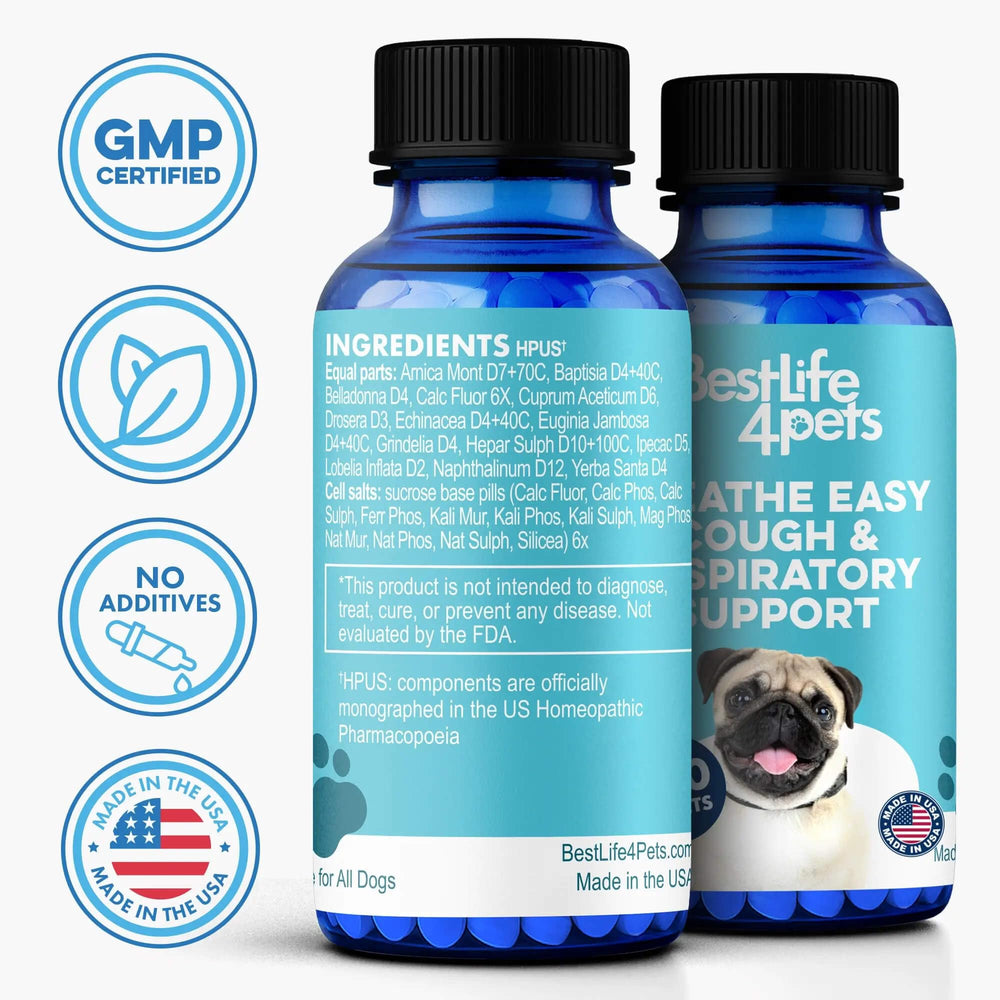 BestLife4Pets chien reposant la nuit grâce au soutien respiratoire et confort amélioré