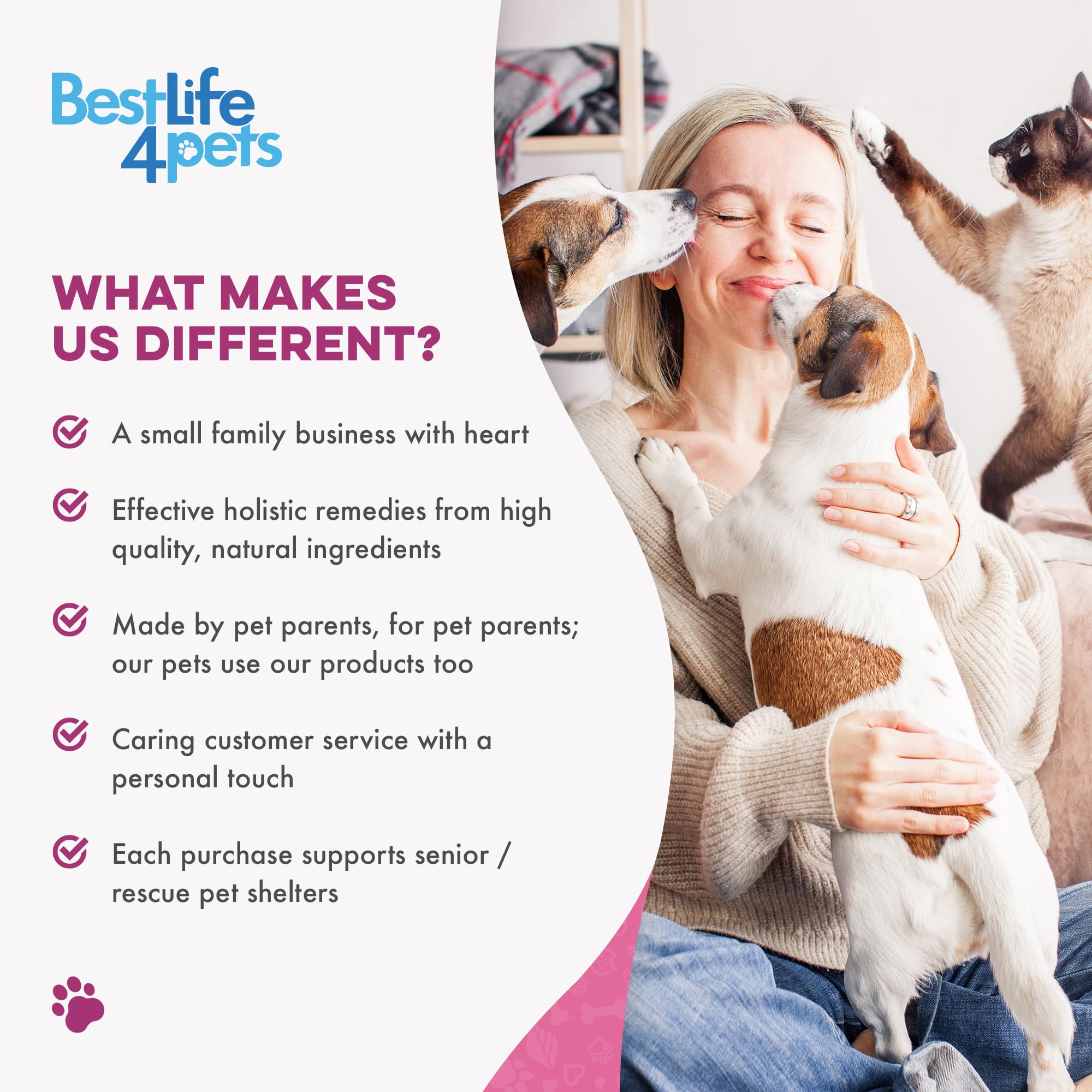 bestlife4pets comprimé à côté d’une règle pour montrer la petite taille