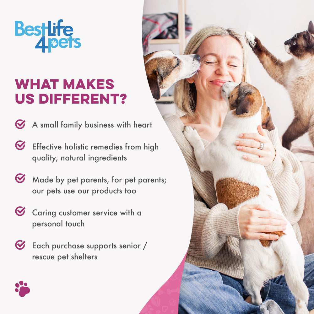 bestlife4pets comprimé à côté d’une règle pour montrer la petite taille