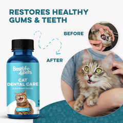 BestLife4Pets comparaison taille montrant échelle et durée d’utilisation