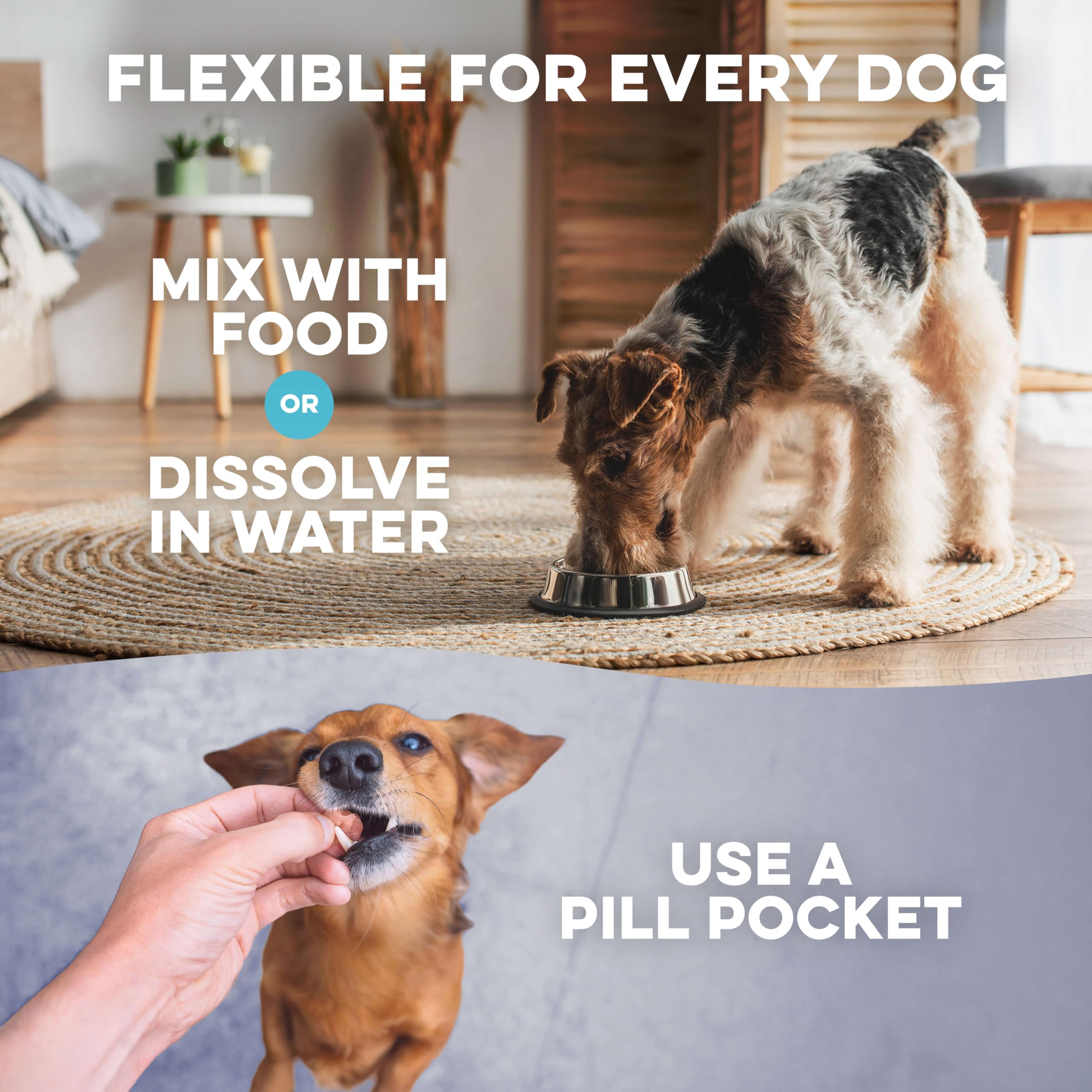 BestLife4Pets comparaison taille montrant proportion des pellets selon le poids