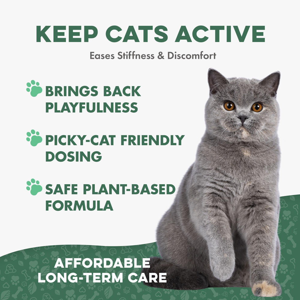 BestLife4Pets comprimé posé sur la paume pour montrer la petite taille et simplicité d'usage