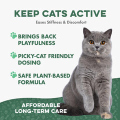 BestLife4Pets comprimé posé sur la paume pour montrer la petite taille et simplicité d'usage