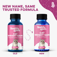 BestLife4Pets comprimé gros plan montrant texture et avantage administration facile