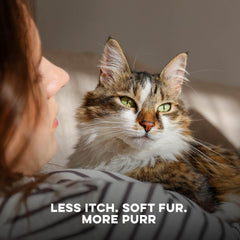 BestLife4Pets comprimé gros plan facile à dissimuler pour administration