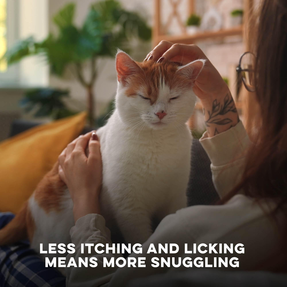 BestLife4Pets comprimé gros plan illustrant petit format facile à avaler