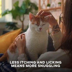 BestLife4Pets comprimé gros plan illustrant petit format facile à avaler