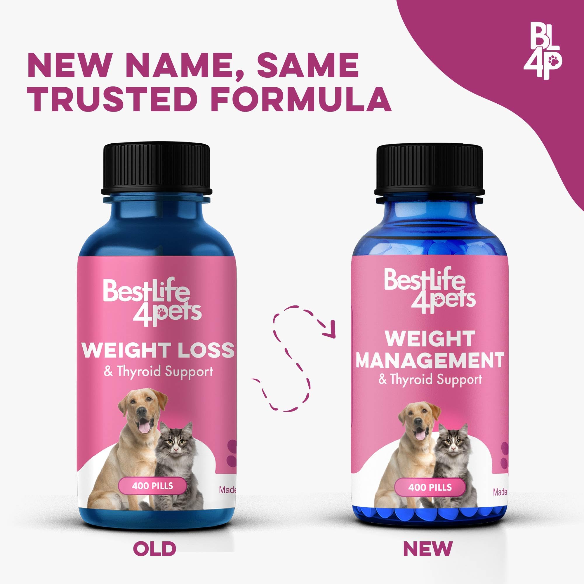 bestlife4pets gros plan sur comprimé minuscule facile à administrer