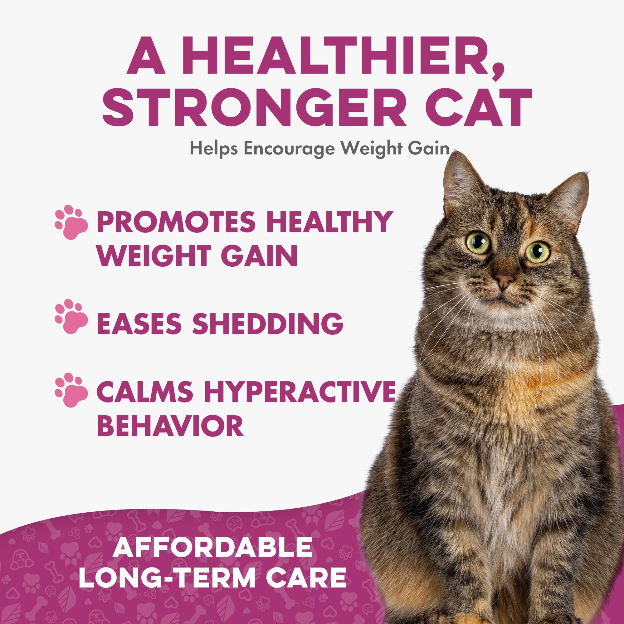 BestLife4Pets comprimé émietté sur pâtée bénéfice appétence augmentée