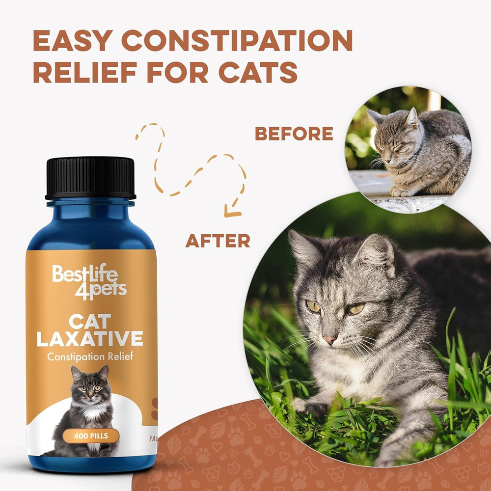 bestlife4pets étiquette lisible montrant ingrédients et instructions claires