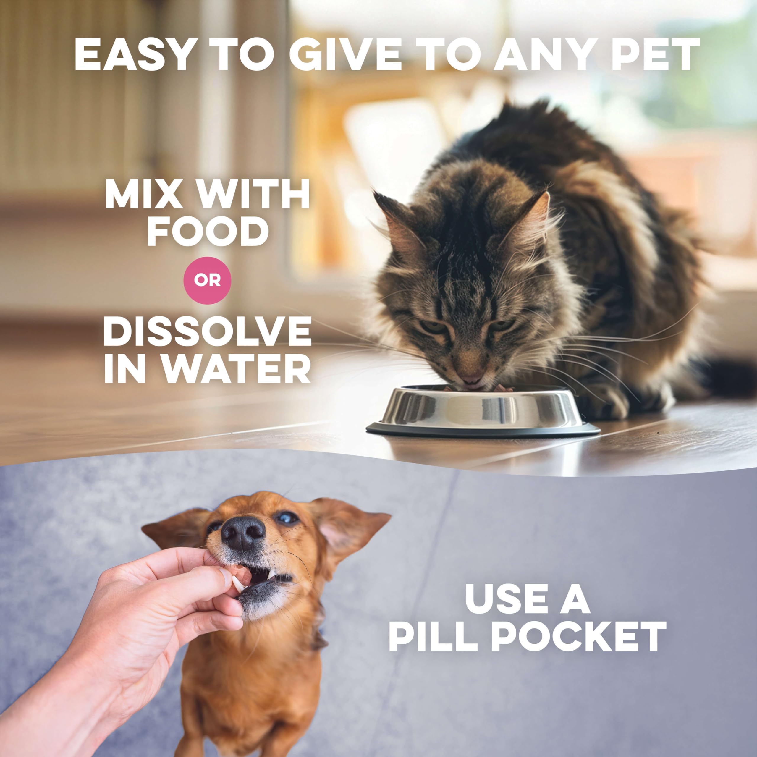 bestlife4pets étiquette et ingrédients listés pour confiance qualité USA