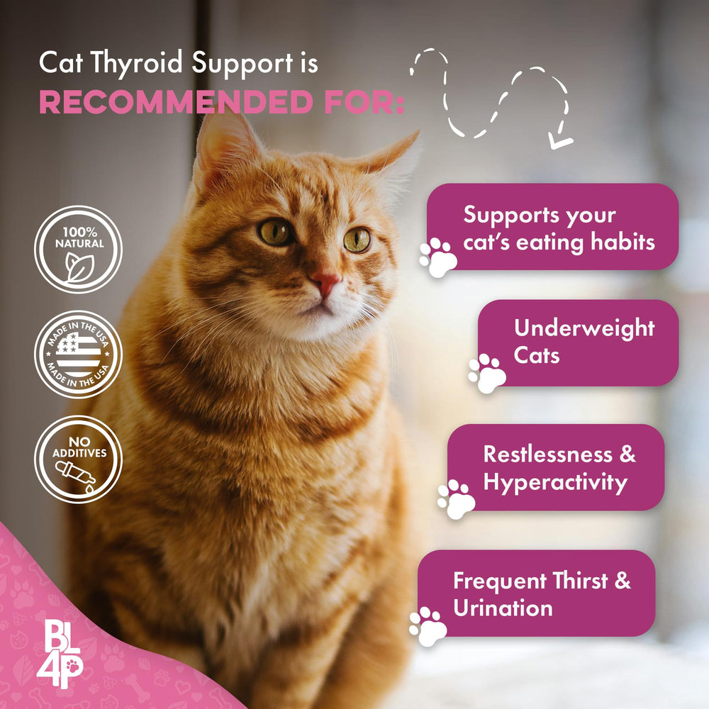 BestLife4Pets étiquette ingrédients mettant en avant fabrication USA