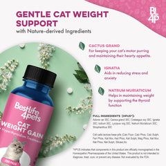 BestLife4Pets flacon ouvert exposant comprimés pour usage longue durée
