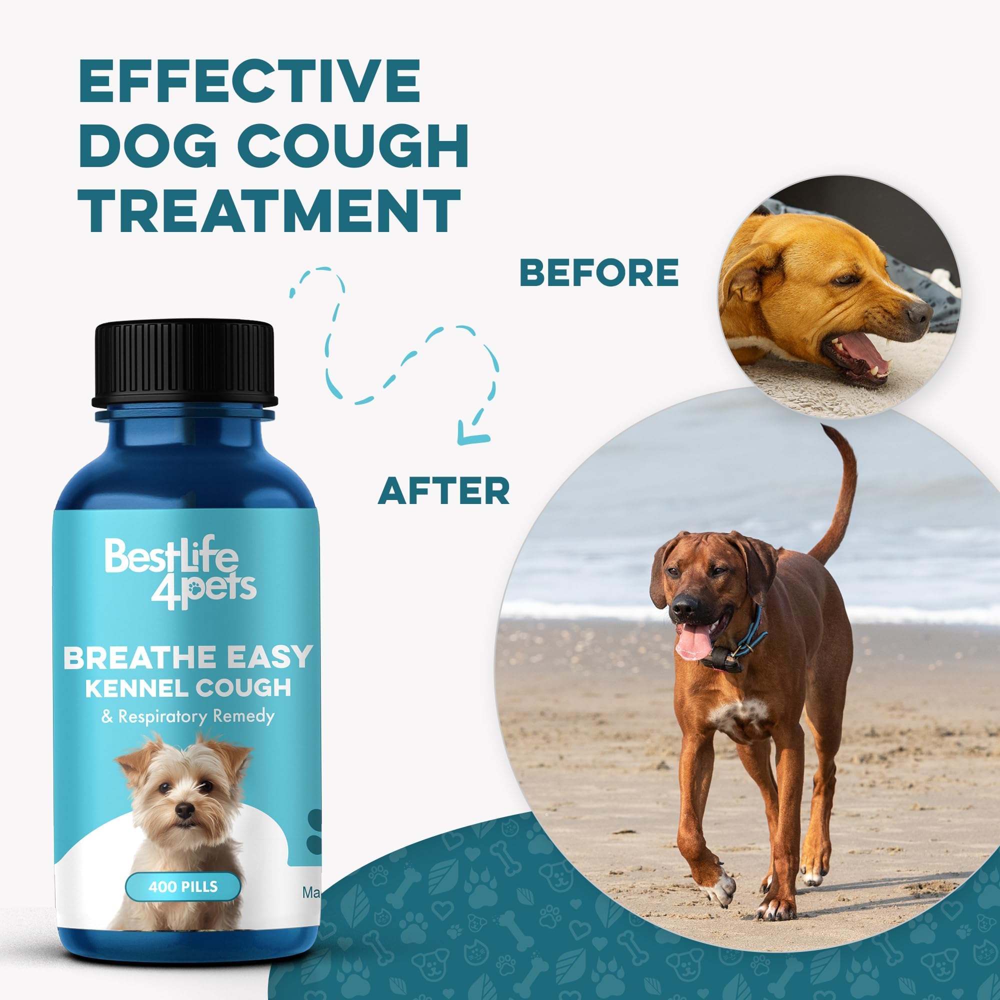 BestLife4Pets granules dissous dans eau offrant micro‑dosage discret à distance