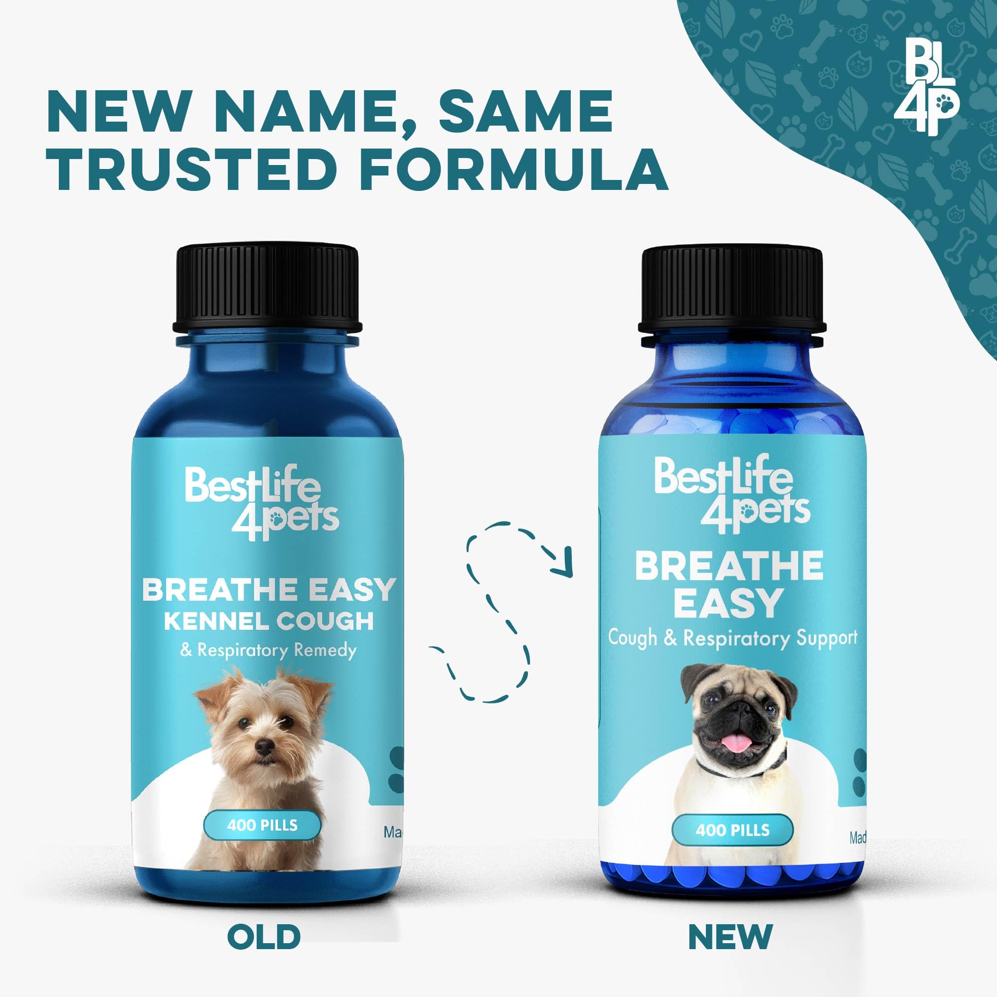 BestLife4Pets gros plan des micro‑granulés inodores aidant l'administration simple
