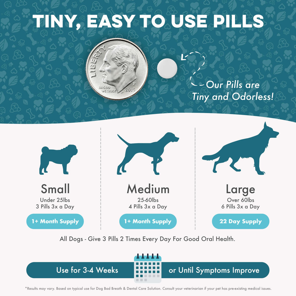 BestLife4Pets pellets dans la main illustrant petite taille et facilité d'usage