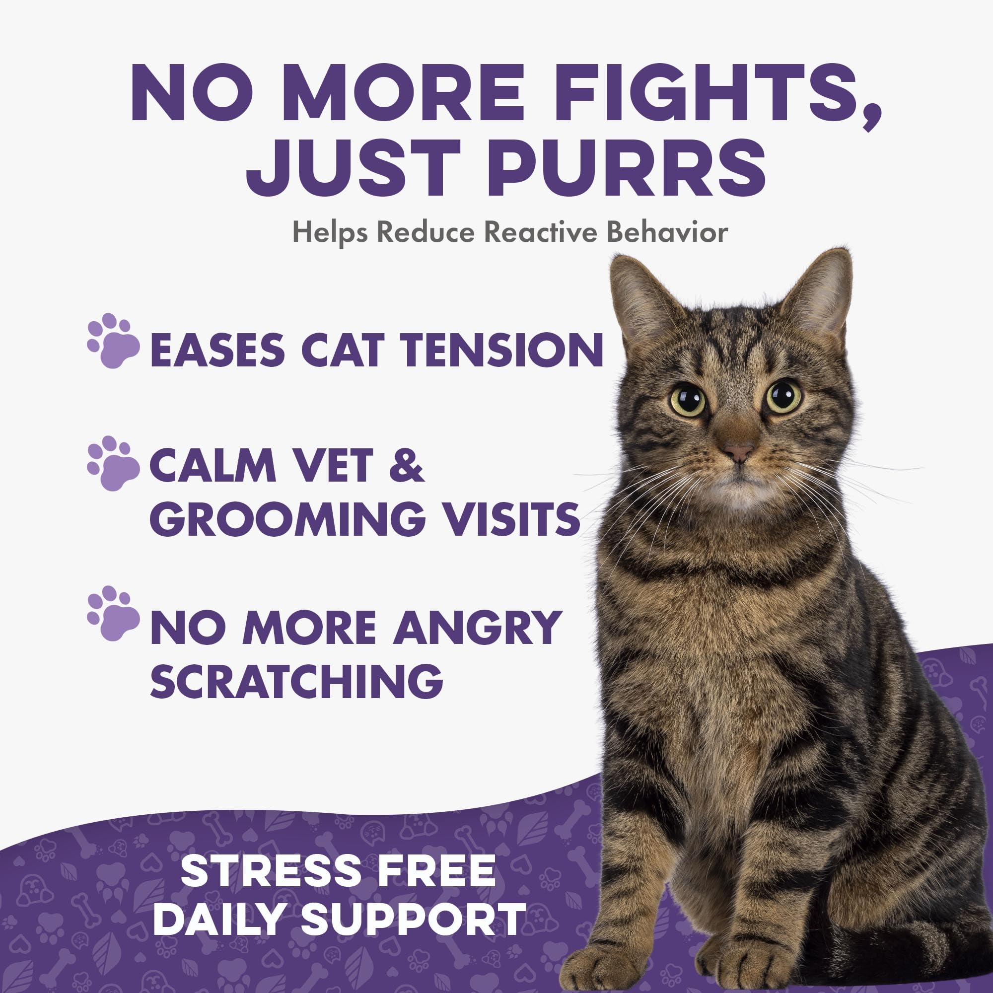 BestLife4Pets pilule cachée dans une friandise pour faciliter l'administration quotidienne