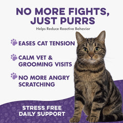 BestLife4Pets pilule cachée dans une friandise pour faciliter l'administration quotidienne