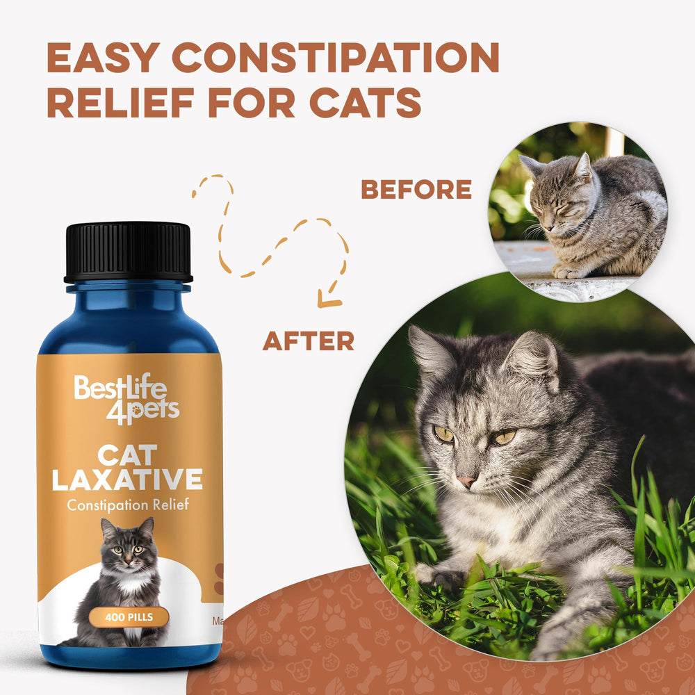 bestlife4pets pilule masquée dans nourriture montrant facilité d'administration