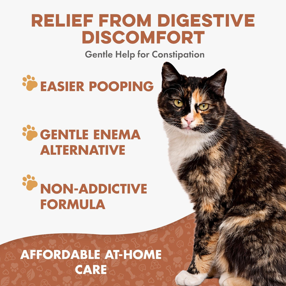 bestlife4pets pilule dissoute dans eau illustrant option pour chats difficiles