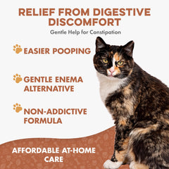 bestlife4pets pilule dissoute dans eau illustrant option pour chats difficiles