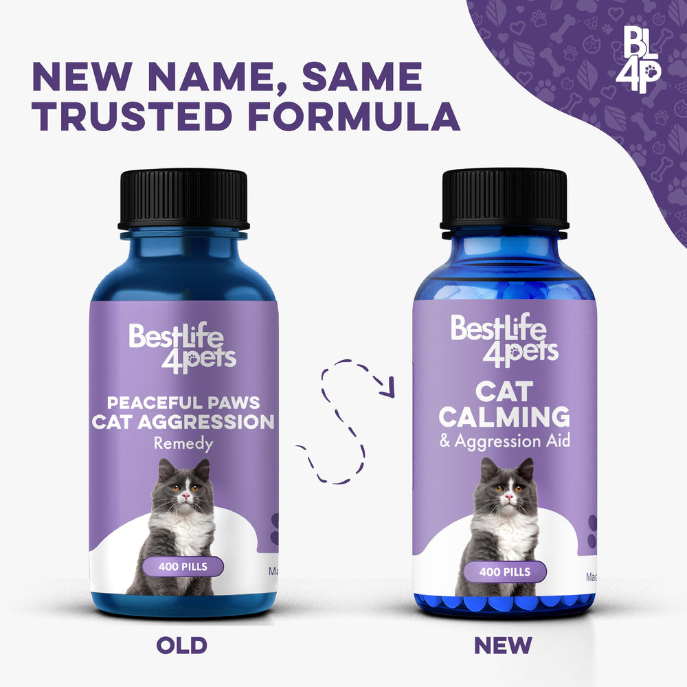 BestLife4Pets pilule gros plan illustrant la texture et facilité d'administration