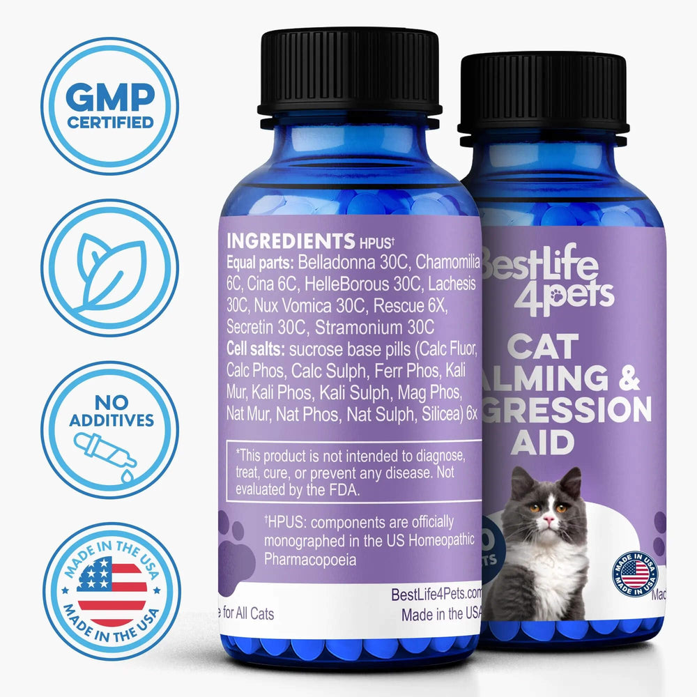 BestLife4Pets boîte ouverte révélant 400 pilules sans odeur pour usage prolongé