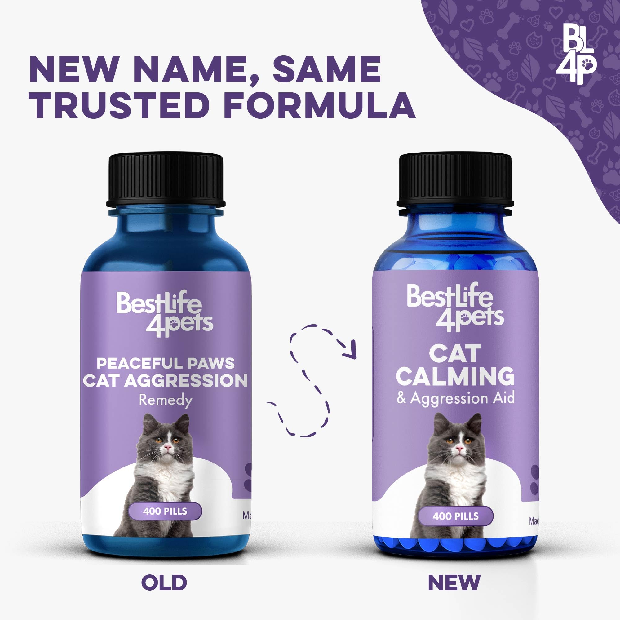 BestLife4Pets pilules dans la main pour démontrer la taille pratique et le conditionnement