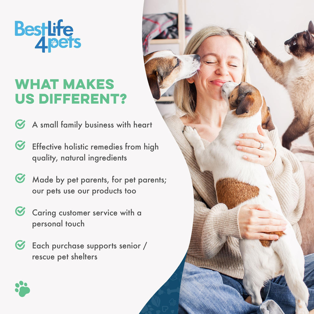 BestLife4Pets chien en promenade avec propriétaire, soutien pour la mobilité