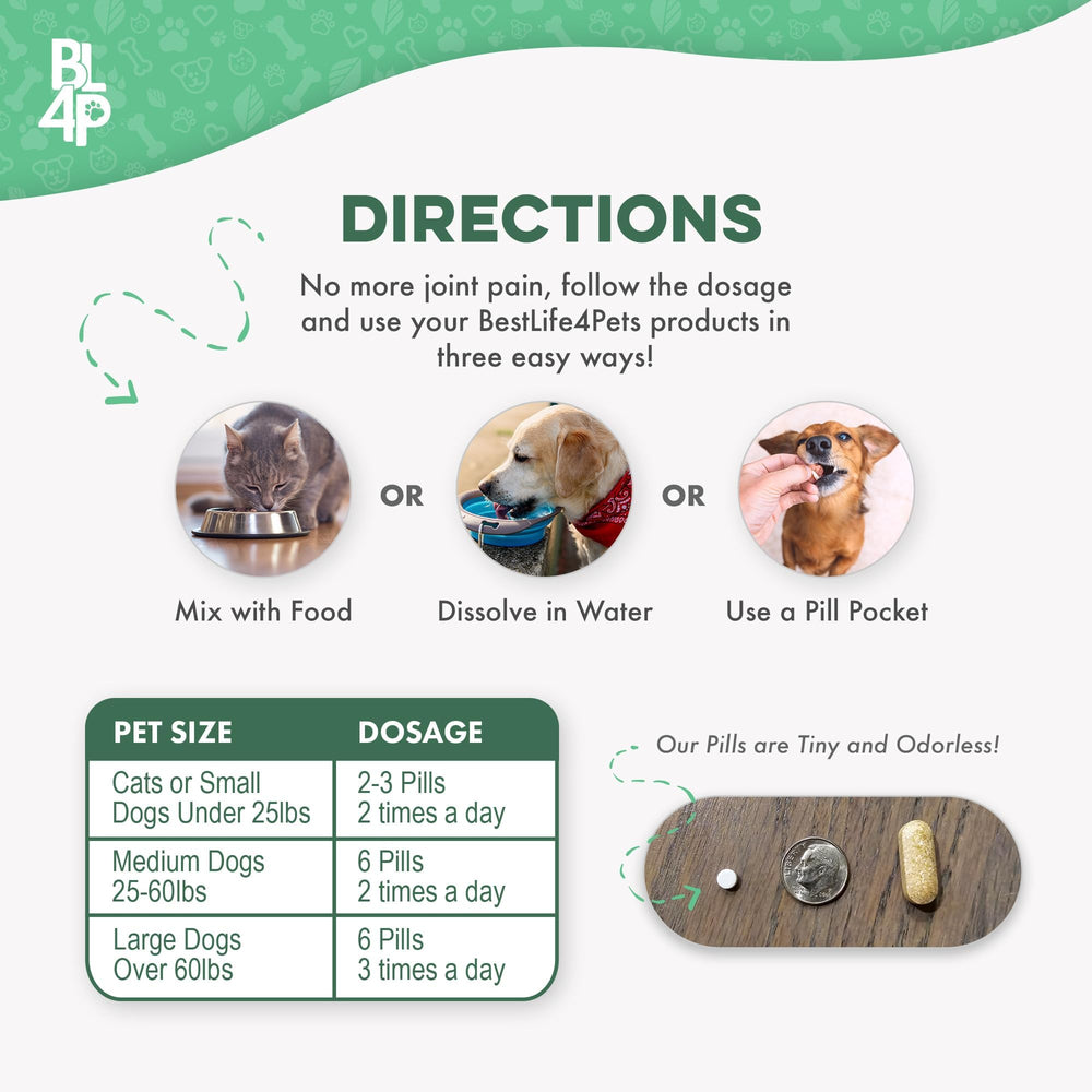 BestLife4Pets propriétaire donnant un comprimé à un chien, administration simple
