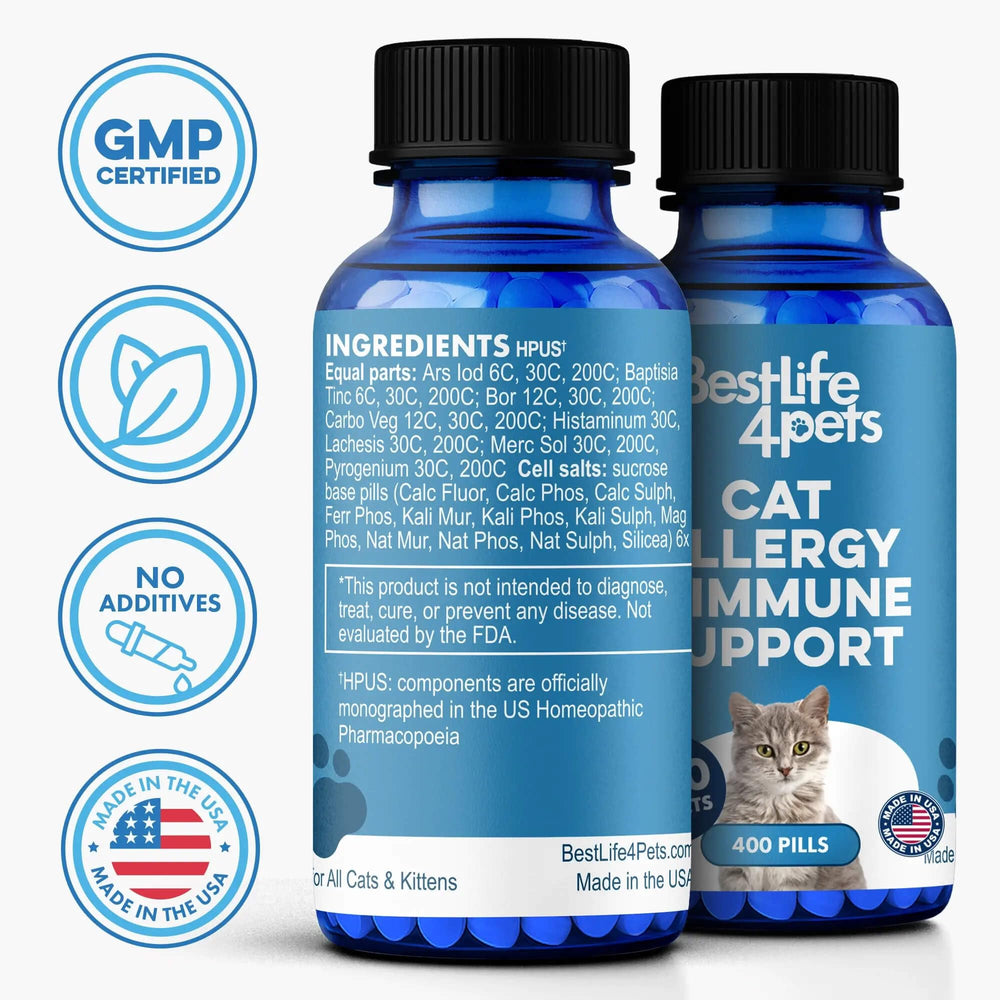 BestLife4Pets chat sur canapé illustrant confort et bien-être respiratoire