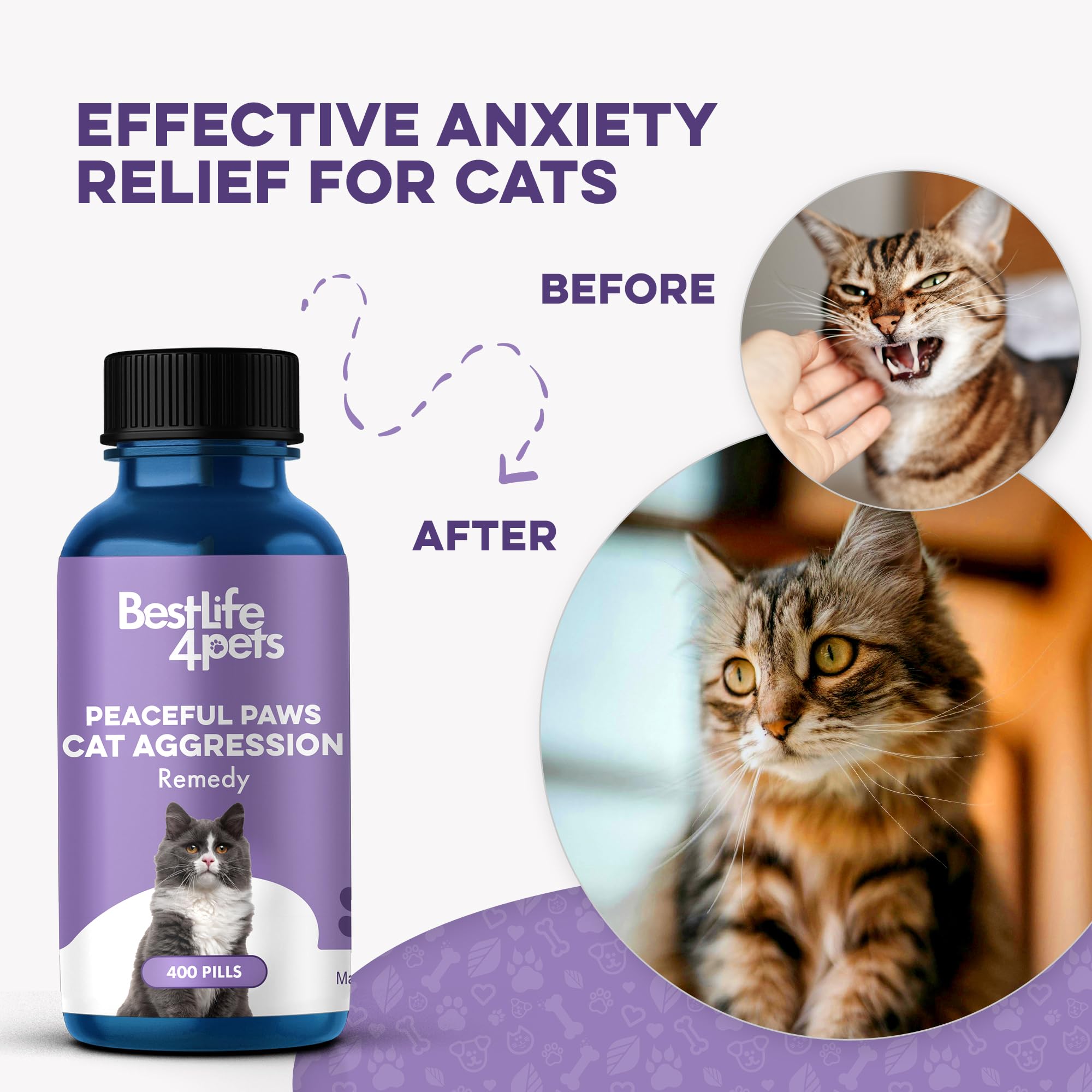 BestLife4Pets tableau d'ingrédients naturels listant le tryptophane et composants sûrs