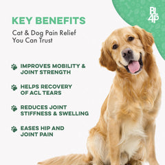 BestLife4Pets comprimé gros plan montrant la texture facile à administrer