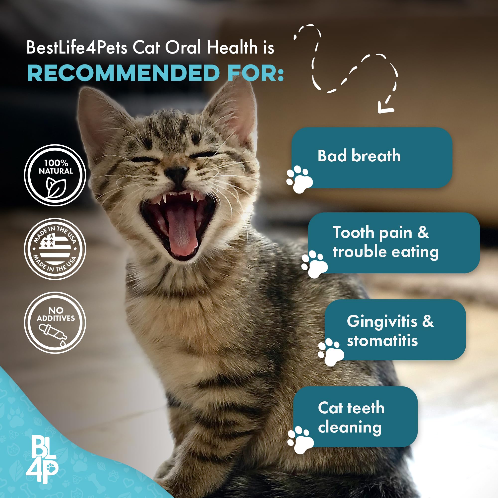 BestLife4Pets poudre écrasée texture démontrant facilité de mélange