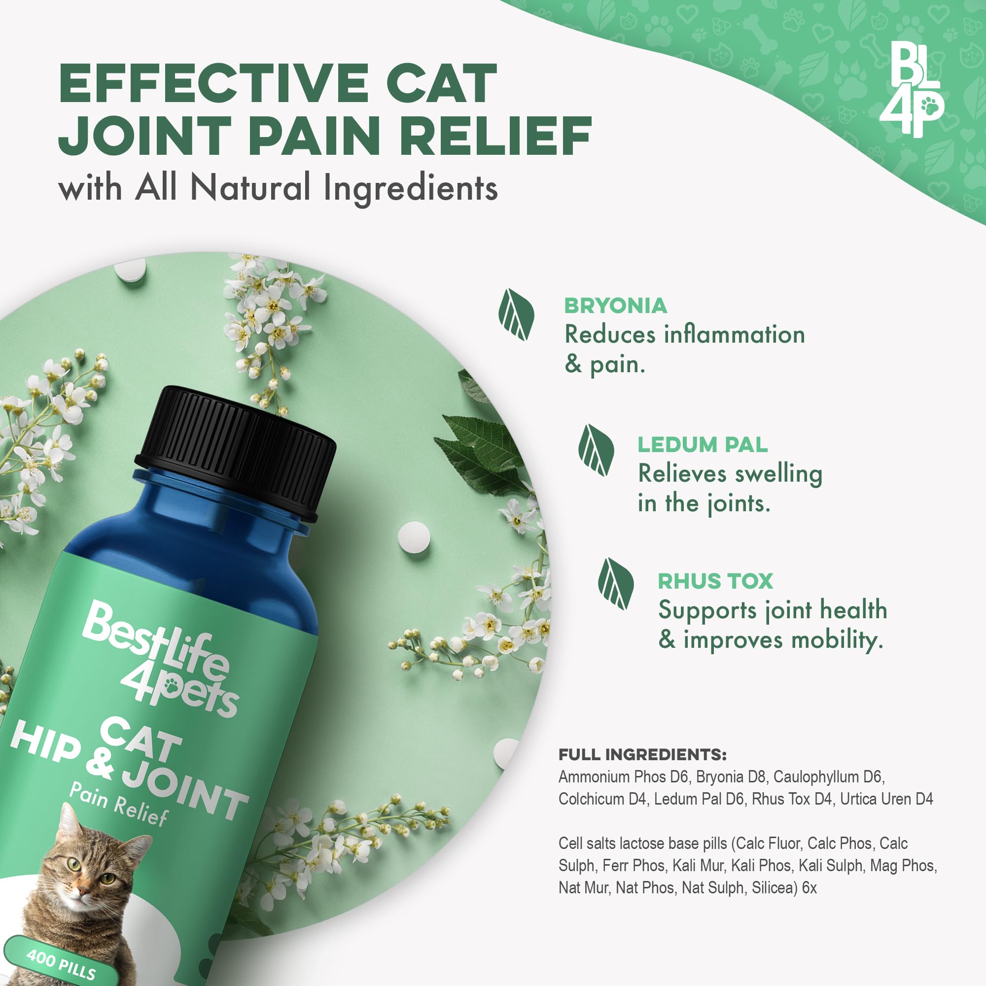 BestLife4Pets deux chats côte à côte montrant convenance pour foyers multi-chats