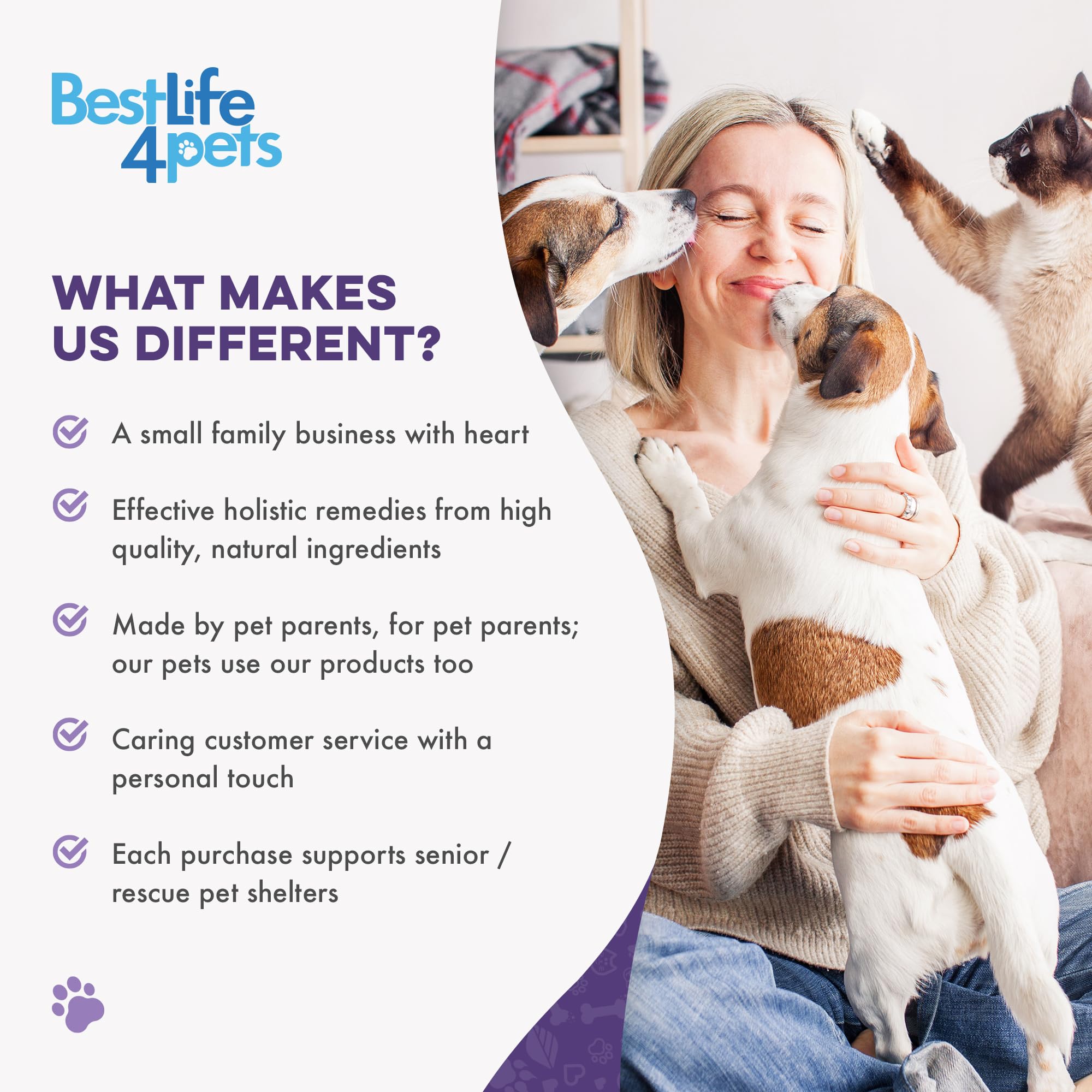 BestLife4Pets pilules mélangées à nourriture humide montrant une prise sans stress