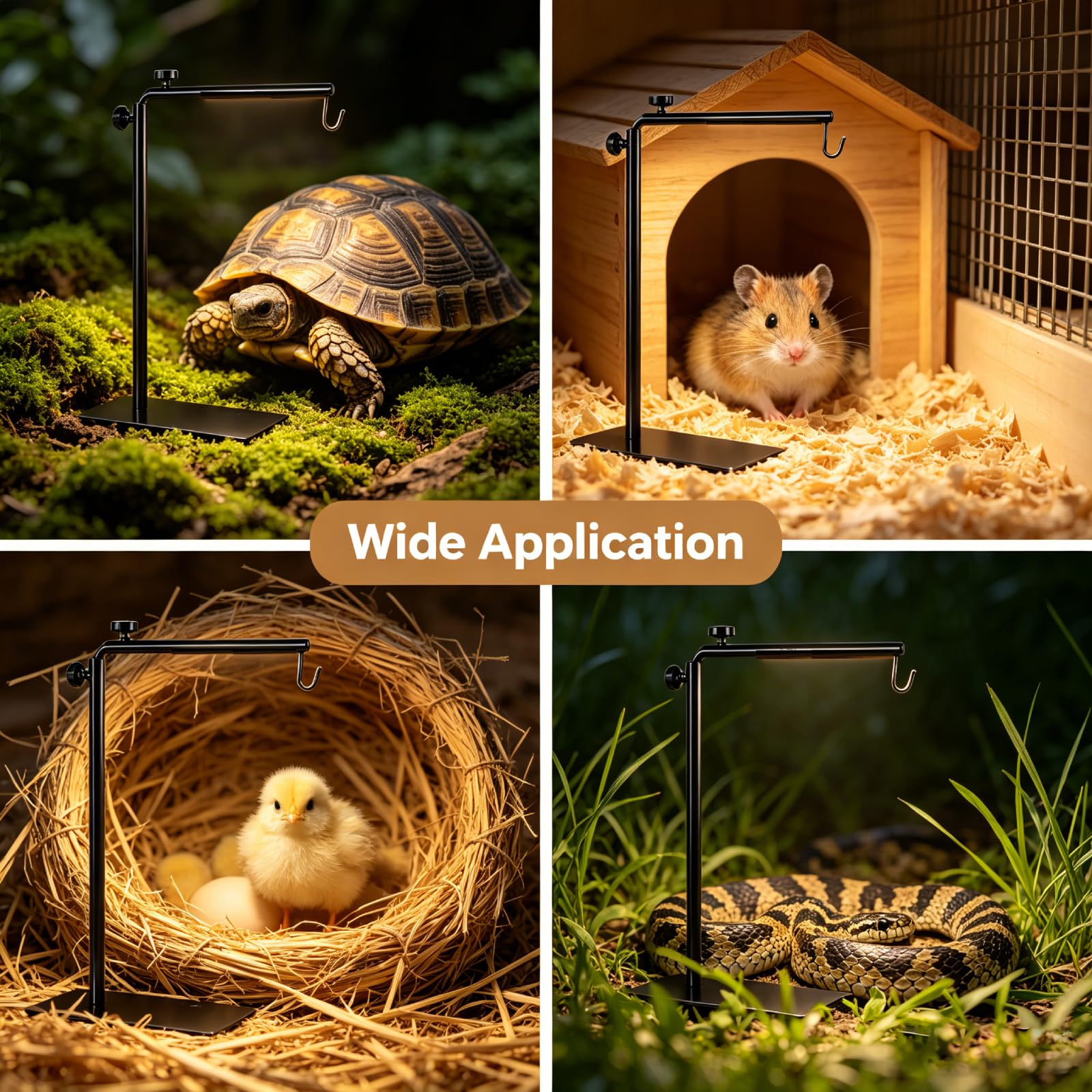 BETAZOOER mise en scène lifestyle créant un habitat naturel